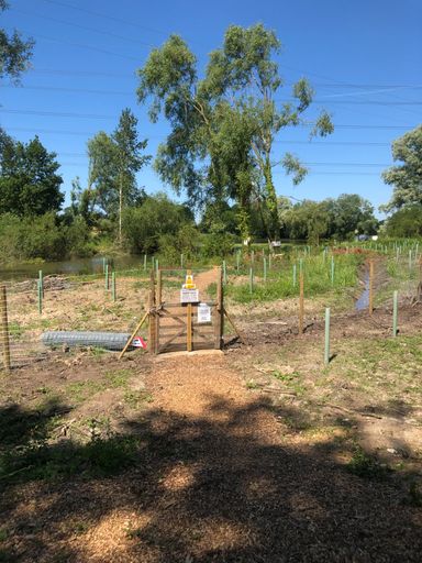 The completed fence at Great Melton
