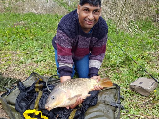 A lovely common from Pond 1 at Melton Ponds