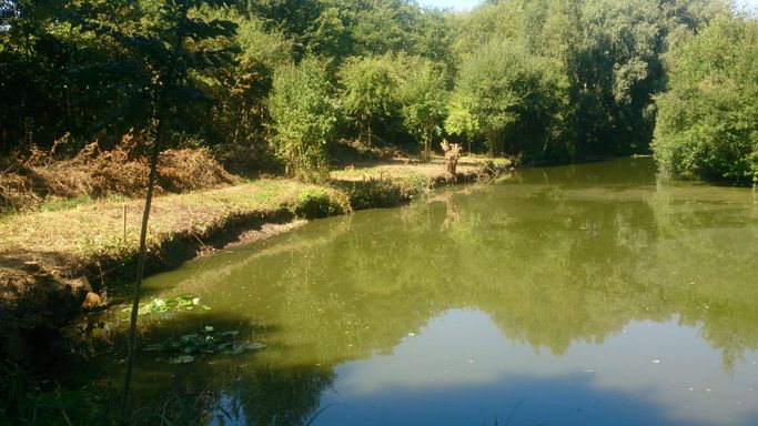 Improvement work being carried out at Pond 1.